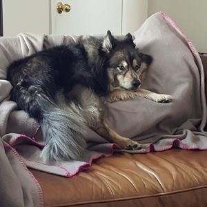 Meet your Posher, Mick